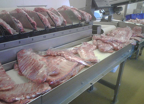 Banda esbelt serie Clina para carne