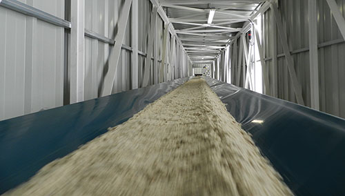 Banda esbelt serie Drago