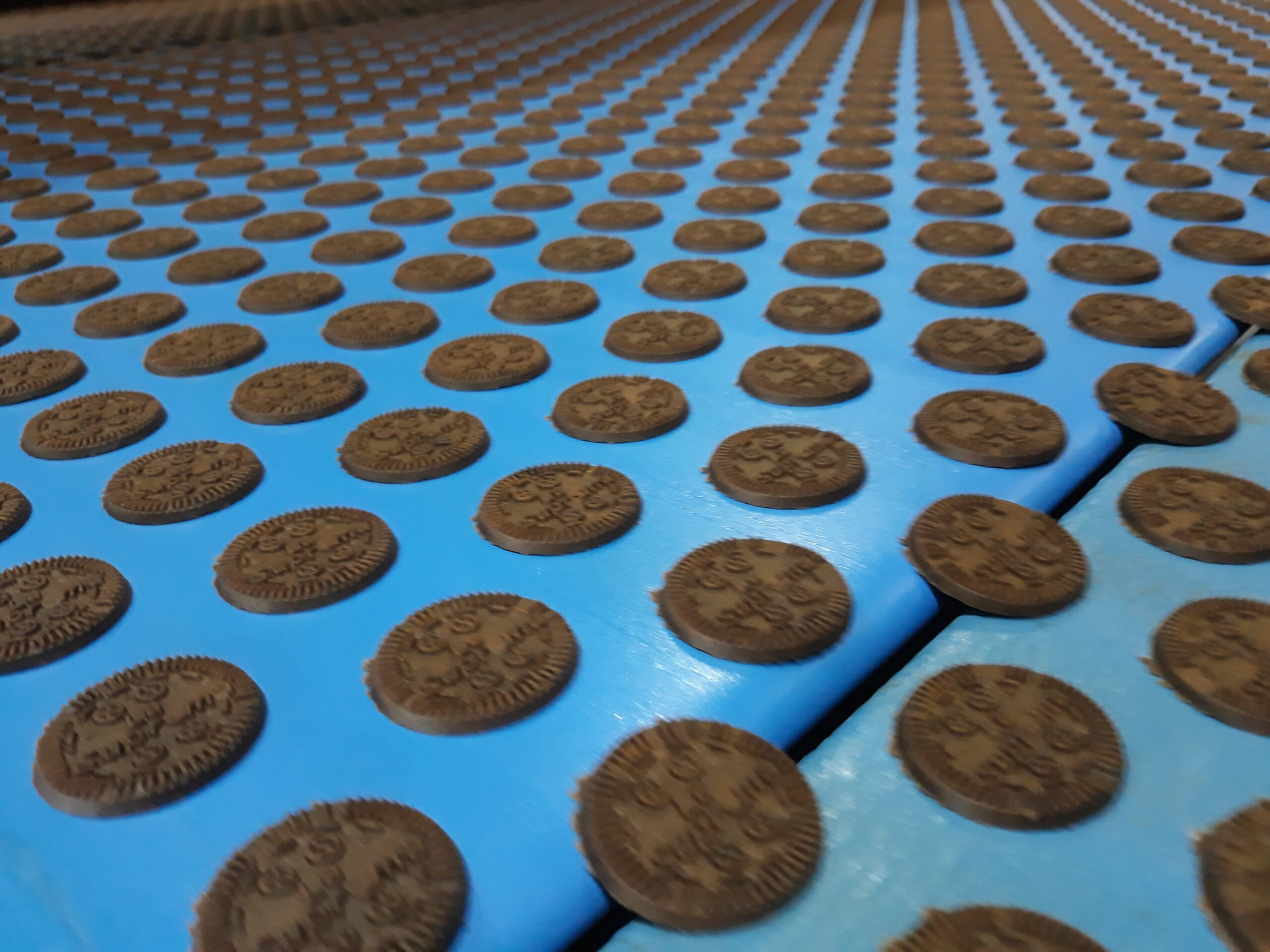 Banda azul Novak con galletas