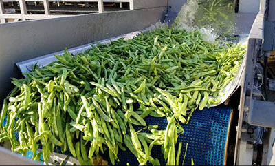 Washflow para limpieza de vegetales